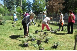 Mol Romania_Spatii_Verzi03_2014