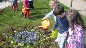 Mol Romania_Spatii_Verzi_2014